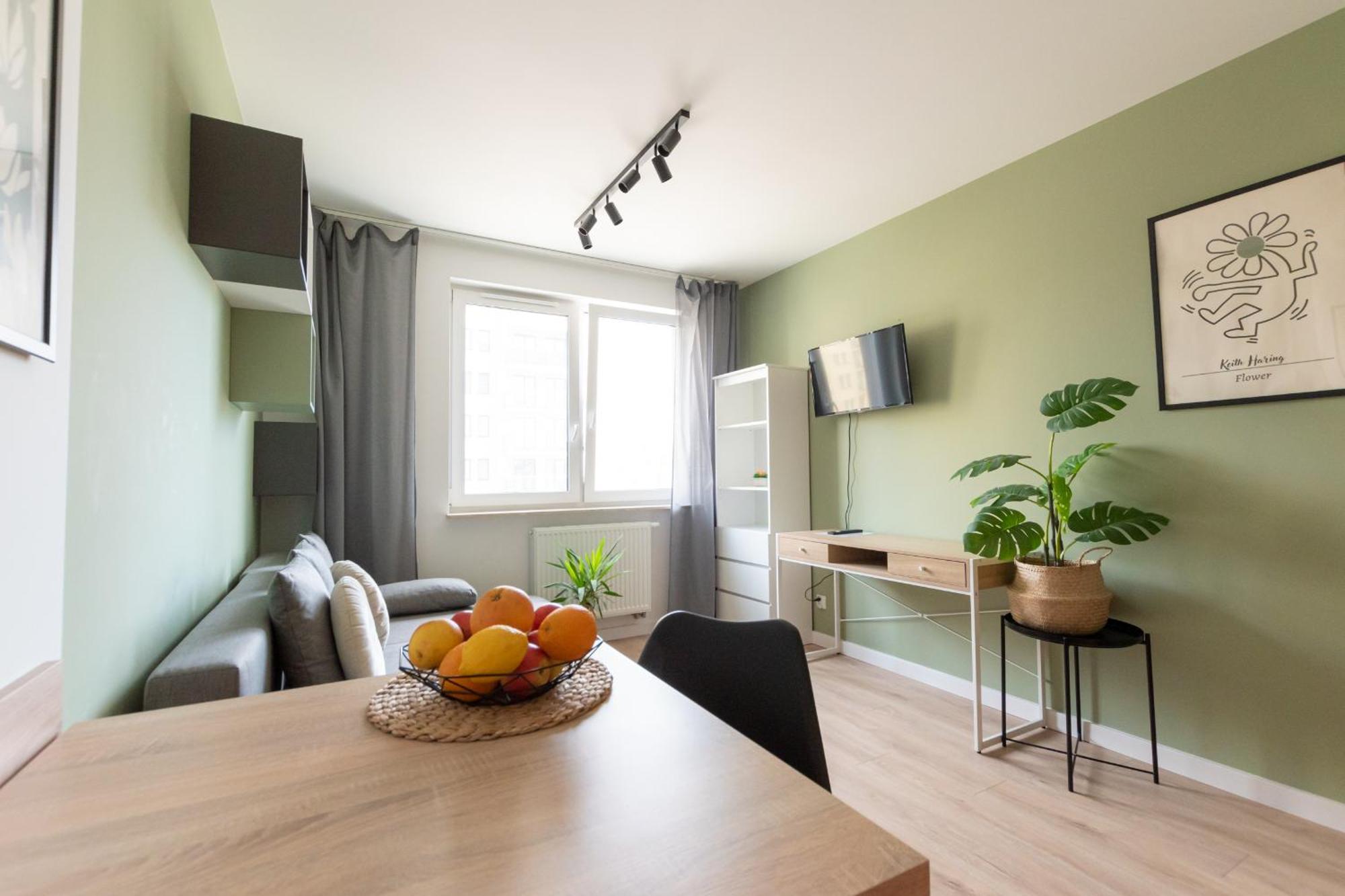 Apartamenty Meiera クラクフ エクステリア 写真